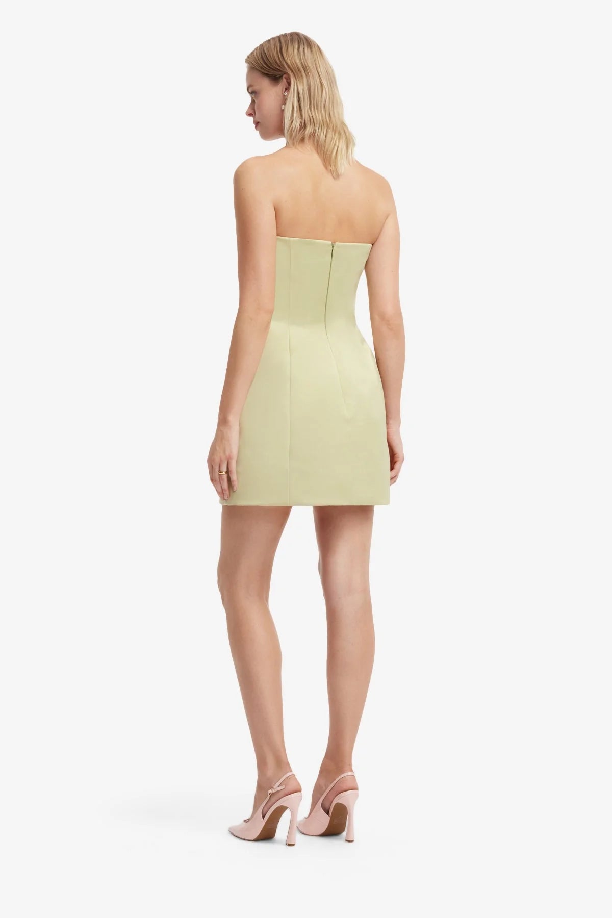 Roselle Embroidered Bustier Mini Dress - Pistachio Rose Print